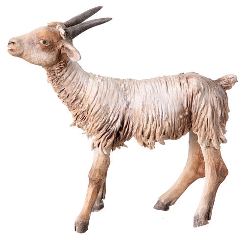 Terracotta goat 13cm Angela Tripi 6