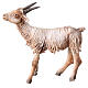 Terracotta goat 13cm Angela Tripi s6