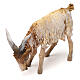 Terracotta goat 13cm Angela Tripi s2