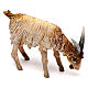 Terracotta goat 13cm Angela Tripi s3