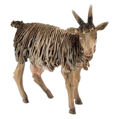 Goat in terracotta 13cm Angela Tripi 2