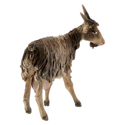 Goat in terracotta 13cm Angela Tripi 5