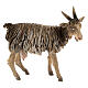 Goat in terracotta 13cm Angela Tripi s1