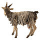 Goat in terracotta 13cm Angela Tripi s4