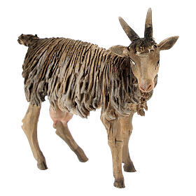 Goat in terracotta 13cm Angela Tripi