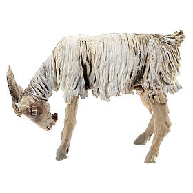 Szopka Angela Tripi: Owca głowa opuszczona 13 cm Angela Tripi terakota