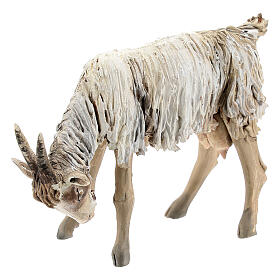 Szopka Angela Tripi: Owca głowa opuszczona 13 cm Angela Tripi terakota