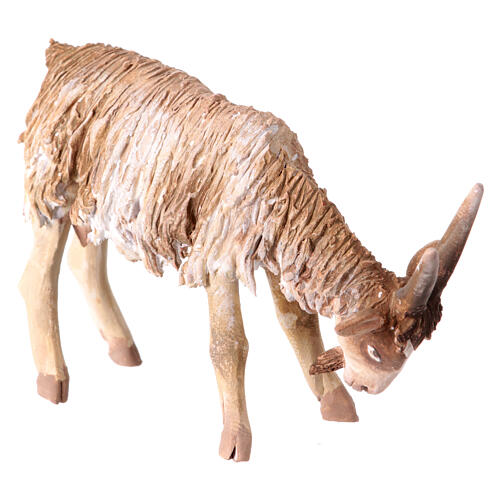 Owca głowa opuszczona 13 cm Angela Tripi terakota 3