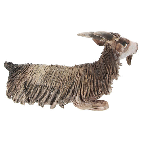 Cabra sentada Belén 13 cm Angela Tripi terracota 4