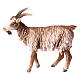 Terracotta goat 13cm Angela Tripi s1