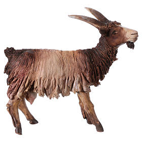 Presepe Angela Tripi: Capretta 13 cm Angela Tripi terracotta