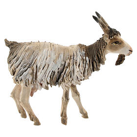 Szopka Angela Tripi: Koza mała 13 cm Angela Tripi terakota