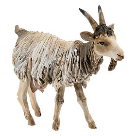 Szopka Angela Tripi: Koza mała 13 cm Angela Tripi terakota