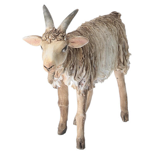 Cabra cabeça levantada 13 cm Angela Tripi terracota 2