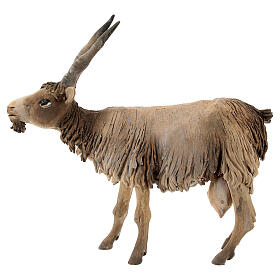 Koza mała 18 cm szopka Angela Tripi