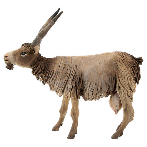 Koza mała 18 cm szopka Angela Tripi 1