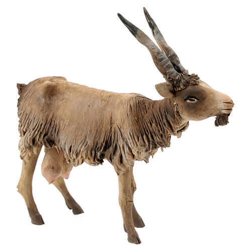 Koza mała 18 cm szopka Angela Tripi 3