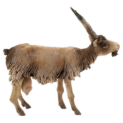 Koza mała 18 cm szopka Angela Tripi 4