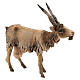 Koza mała 18 cm szopka Angela Tripi s3
