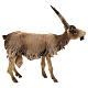 Koza mała 18 cm szopka Angela Tripi s4