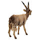 Koza mała 18 cm szopka Angela Tripi s5
