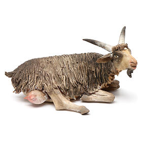 Presepe Angela Tripi: Capra seduta 18 cm presepe Angela Tripi