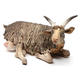 Presepe Angela Tripi: Capra seduta 18 cm presepe Angela Tripi