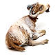 Koza leżąca 18 cm szopka Angela Tripi s4