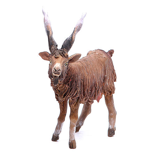 Terracotta goat 18cm Angela Tripi 2