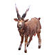 Terracotta goat 18cm Angela Tripi s2