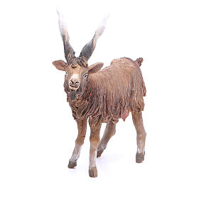 Pesebre Angela Tripi: Cabra Belén 18 cm Angela Tripi terracota Pesebre Angela Tripi: Cabra Belén 18 cm Angela Tripi terracota