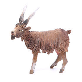 Pesebre Angela Tripi: Cabra Belén 18 cm Angela Tripi terracota Pesebre Angela Tripi: Cabra Belén 18 cm Angela Tripi terracota