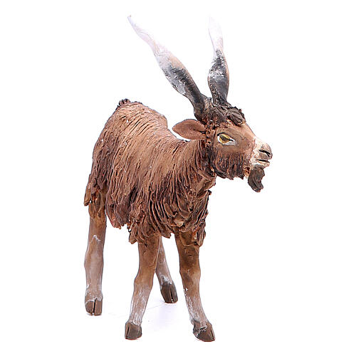 Terracotta goat 18cm Angela Tripi 3