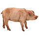 Schwein, für 18 cm Krippe von Angela Tripi, Terrakotta s1