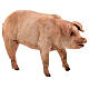 Schwein, für 18 cm Krippe von Angela Tripi, Terrakotta s2