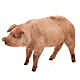 Schwein, für 18 cm Krippe von Angela Tripi, Terrakotta s3