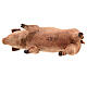Schwein, für 18 cm Krippe von Angela Tripi, Terrakotta s5
