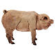 Porc 18cm crèche Angela Tripi s1