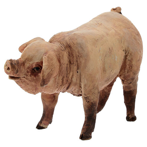 Maiale 18 cm terracotta Angela Tripi 3