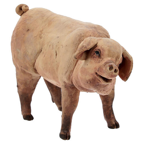 Porco 18 cm terracota Angela Tripi 2
