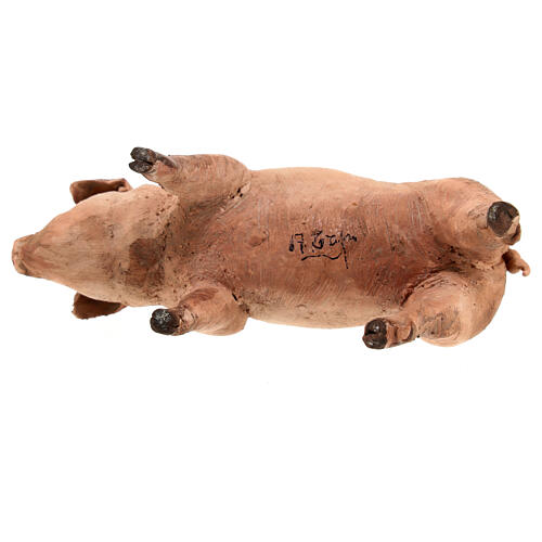 Pig in terracotta 18cm Angela Tripi 5