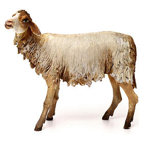 Sheep 30cm Angela Tripi