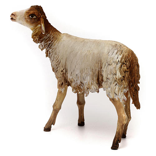 Sheep 30cm Angela Tripi 5