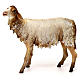 Sheep 30cm Angela Tripi s1