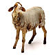 Sheep 30cm Angela Tripi s3