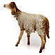 Sheep 30cm Angela Tripi s5