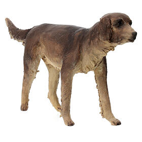 Hund, für 30 cm Krippe von Angela Tripi, Terrakotta