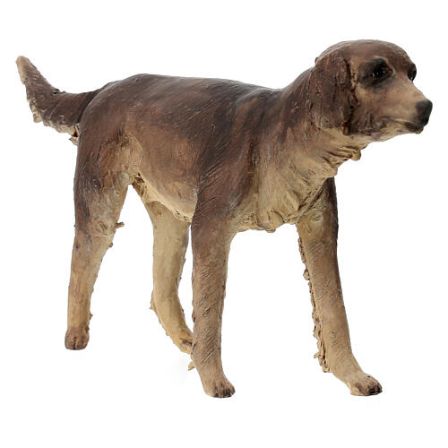Hund, für 30 cm Krippe von Angela Tripi, Terrakotta 2