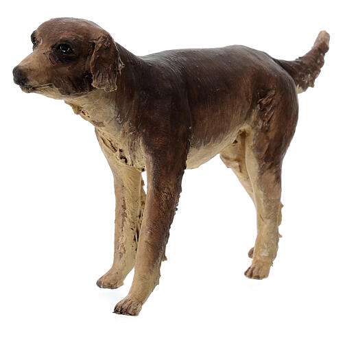 Hund, für 30 cm Krippe von Angela Tripi, Terrakotta 3