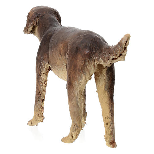Hund, für 30 cm Krippe von Angela Tripi, Terrakotta 5